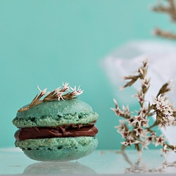 Hazelnut Macarons with Nutella