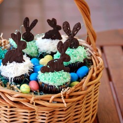 Chocolate Coconut Easter Cupcakes