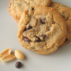 Peanut Butter Chocolate Chip Cookie