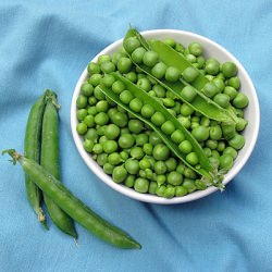 Risi e Bisi