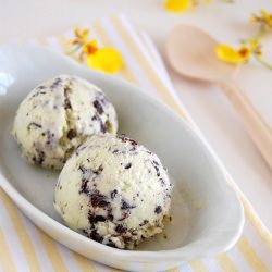 Fresh Mint Choc Chip Ice Cream