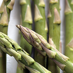 Asparagus Inspiration