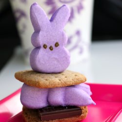 Beevil the Evil Makes “S’mores”