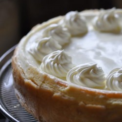 Classic Cheesecake