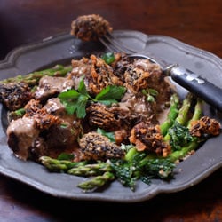 Morels Creamed and Deep Fried