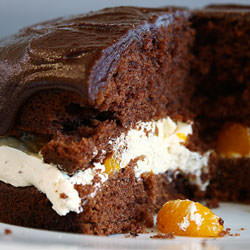 Chocolate and Guinness Orange Cake