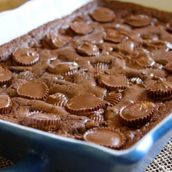 Superfudge Brownies