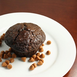 Chocolate Butterscotch Muffins