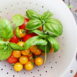 GrowCookEat – Getting Started