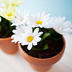 Dirt Cake in Flowerpots