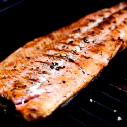 Simply Grilled Wild Sockeye Salmon