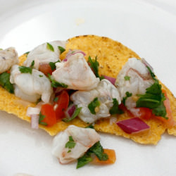 Shrimp Ceviche