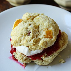 Cranberry Apricot Scones