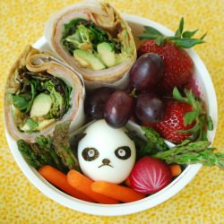 Panda Egg Bento
