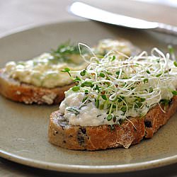 Tofu-Salad Sandwiches