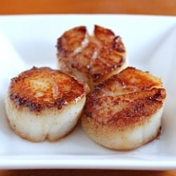 Caramelized Sea Scallops