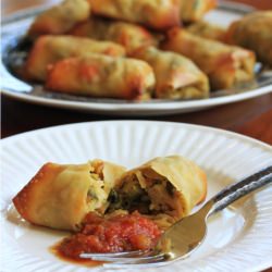 Low Calorie Spring Rolls