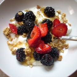 Homemade Yogurt