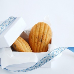 Choc Chip Madeleines