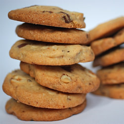 Milk Chocolate & Hazelnut Biscuits
