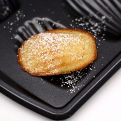 Classic Madeleines