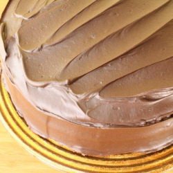 Oat Flour Chocolate Cake