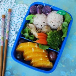 Buggy Bento