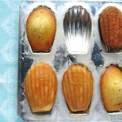 Honey Lavender Madeleines