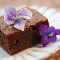Brownie with Violets