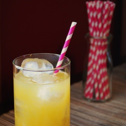Passino Fruit Lemonade