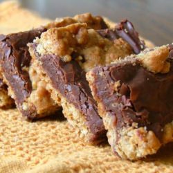 Chocolate Revel Bars