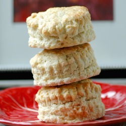 Basic Scones