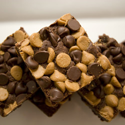 Chocolate Peanut Butter Brownies