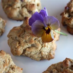 Oatmeal Cookies