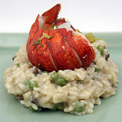 Lobster Tail with Risotto