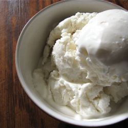 Tart Vanilla Frozen Yogurt