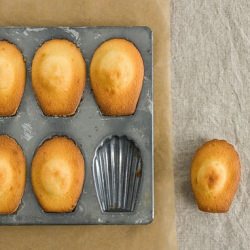 Free Madeleine Pan!