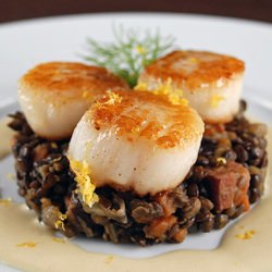 Sea Scallops with Fennel Cream