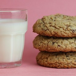 Toasted Coconut Chocolate Cookies