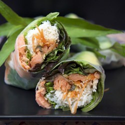 Avocado Salmon Salad Rolls