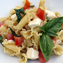 Campanelle alla Mozzarella