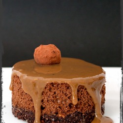 Mousse (in Italian)