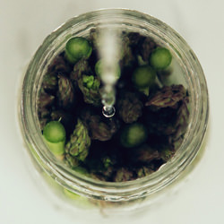 Pickled Asparagus