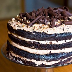Chocolate Hazelnut Mousse Cake