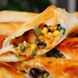Southwestern Eggrolls