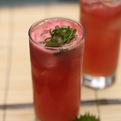 Watermelon-Shiso Cooler