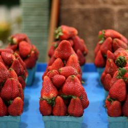 Market Walk