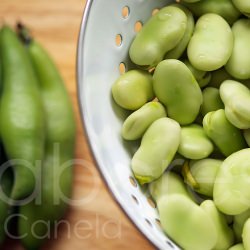 Broad Beans Season