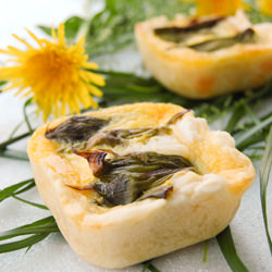 Mini Quiche