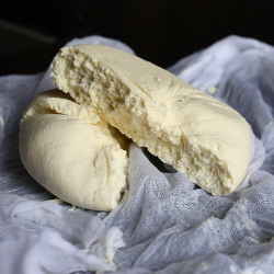 Paneer Indian cheese